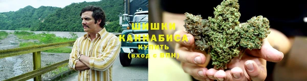 apvp Алзамай