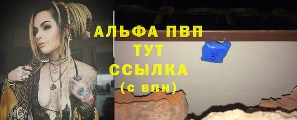 apvp Алзамай