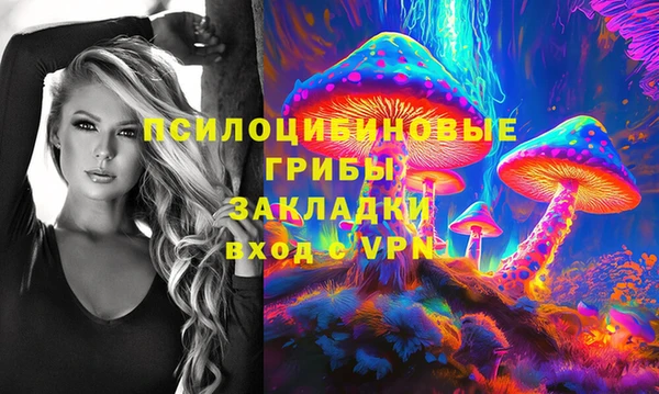apvp Алзамай