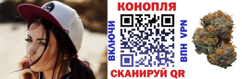 где продают наркотики Берёзовка Марихуана конопля